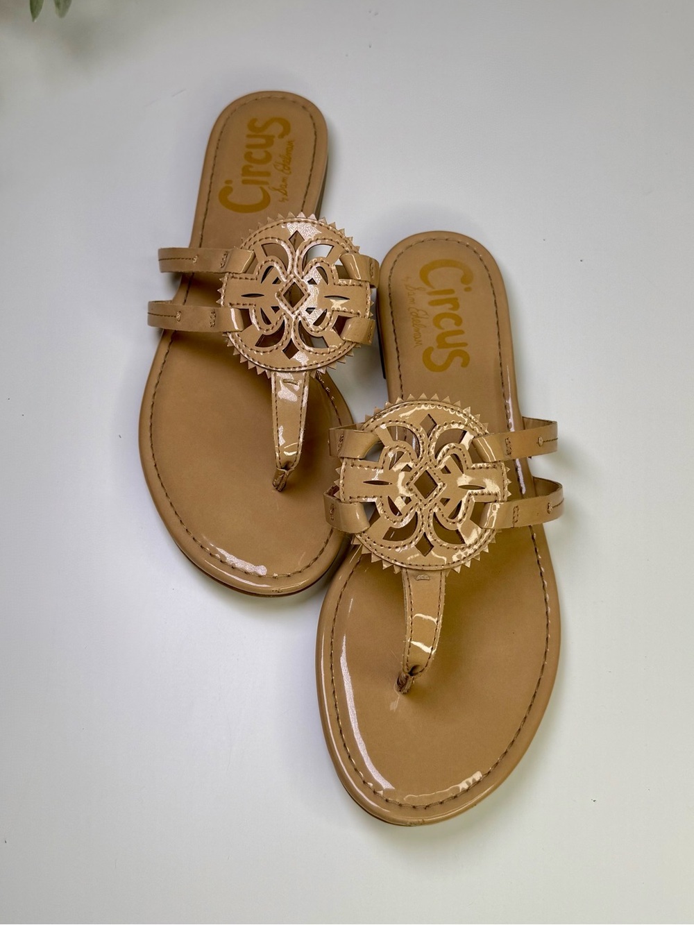 Circus by Sam Edelman Canyon Flat Thong Sandals Size 10 Beige Almond Neutral